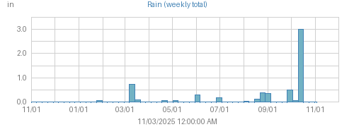 Year's Rain graph