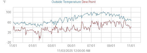 Year's Temperature, Dewpoint, and Heat Index graph
