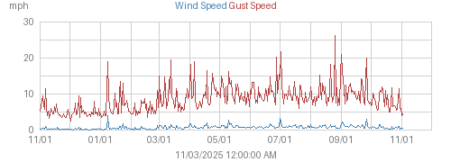 Year's Wind and Gust Speed graph