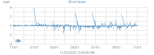 Year's Wind Vector graph